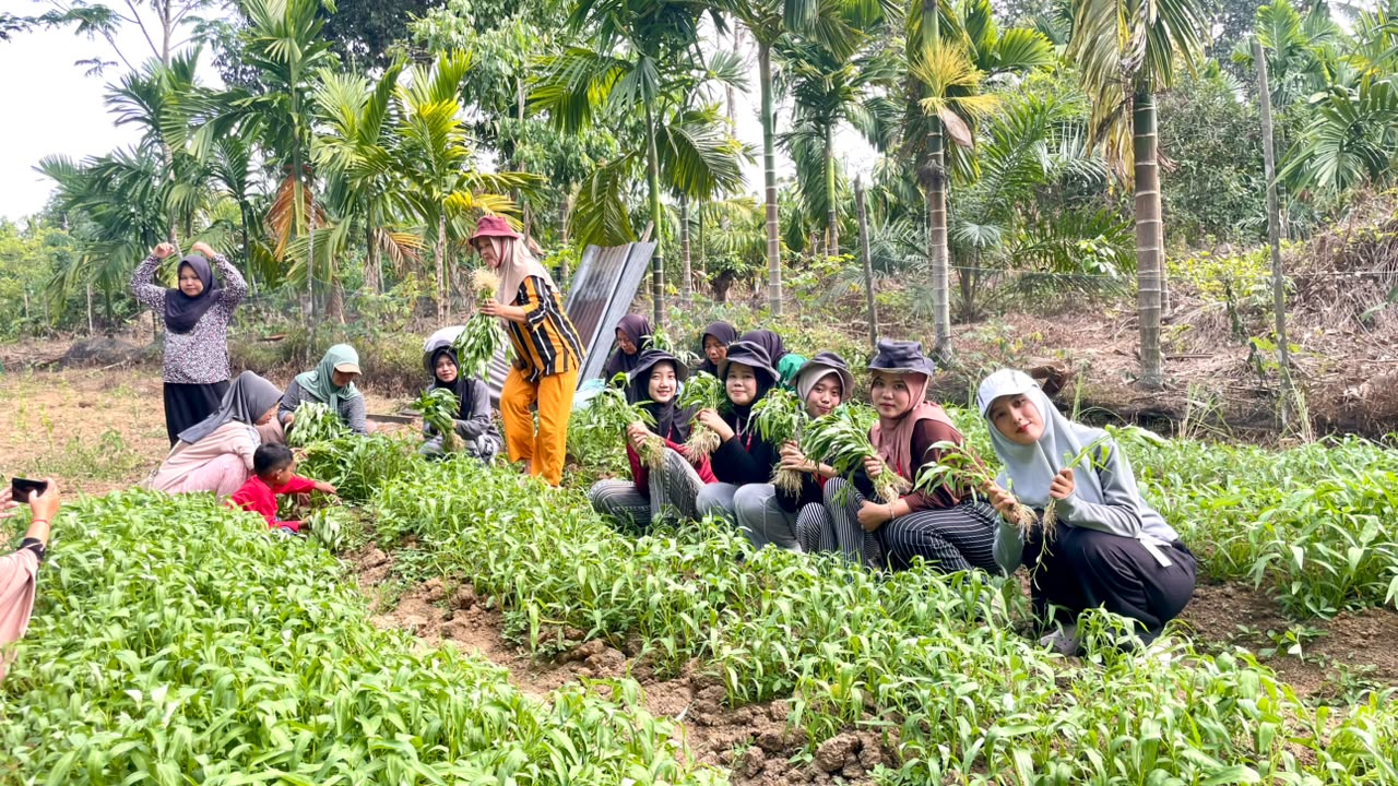 Kelompok Tani dan Mahasiswa KKN Sungai Buluh Kembangkan Hasil Kebun Lewat Pasar Digital